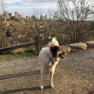 Meet your Posher, Jonathan